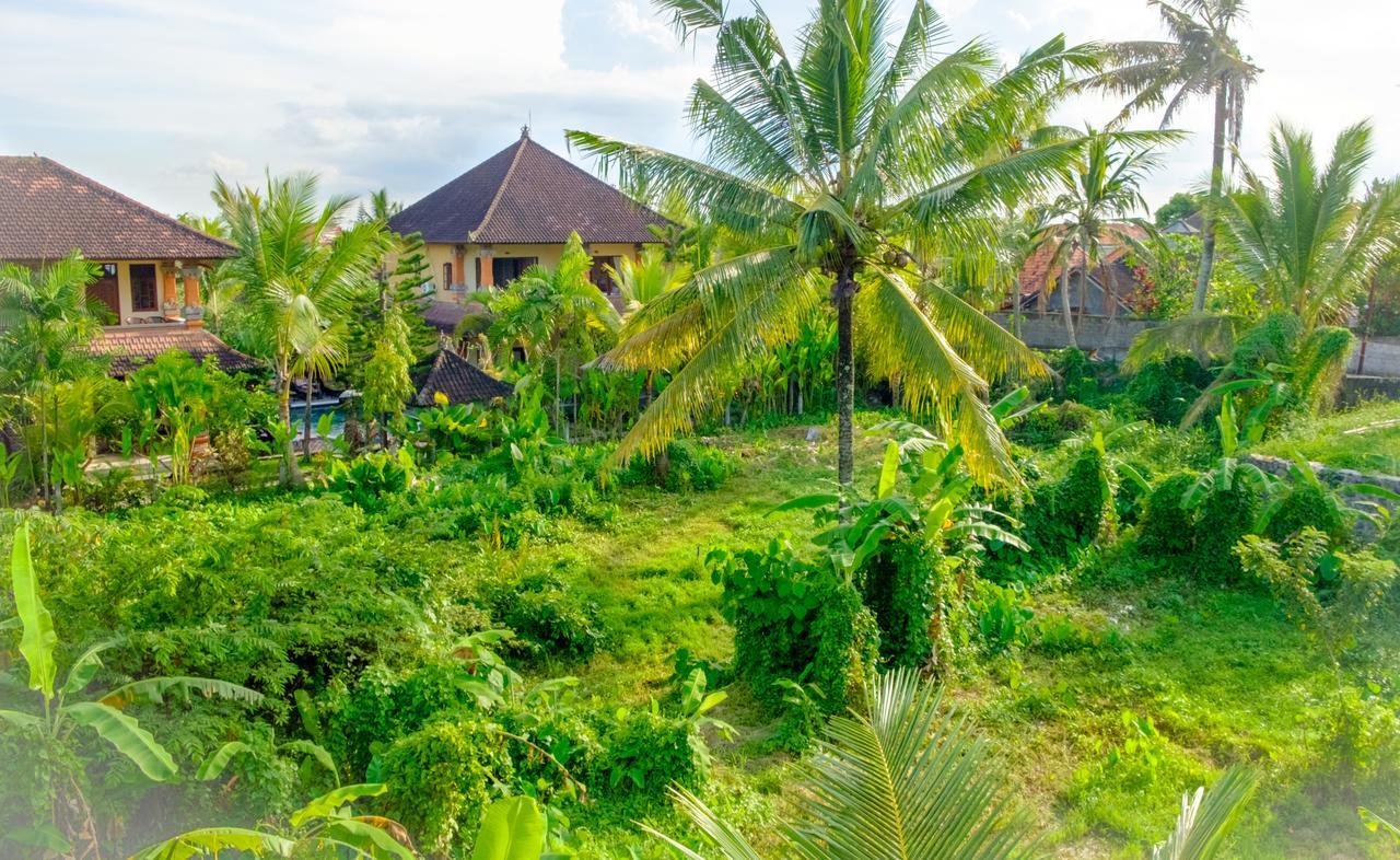 Semujan Bungalow Ubud  Exterior photo